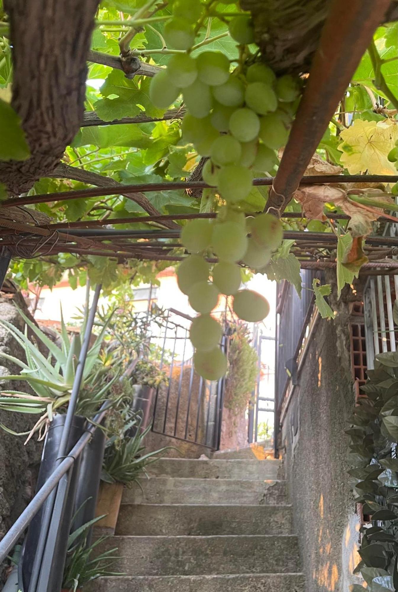 The Secret Garden Villa Forza d'Agro Exterior photo